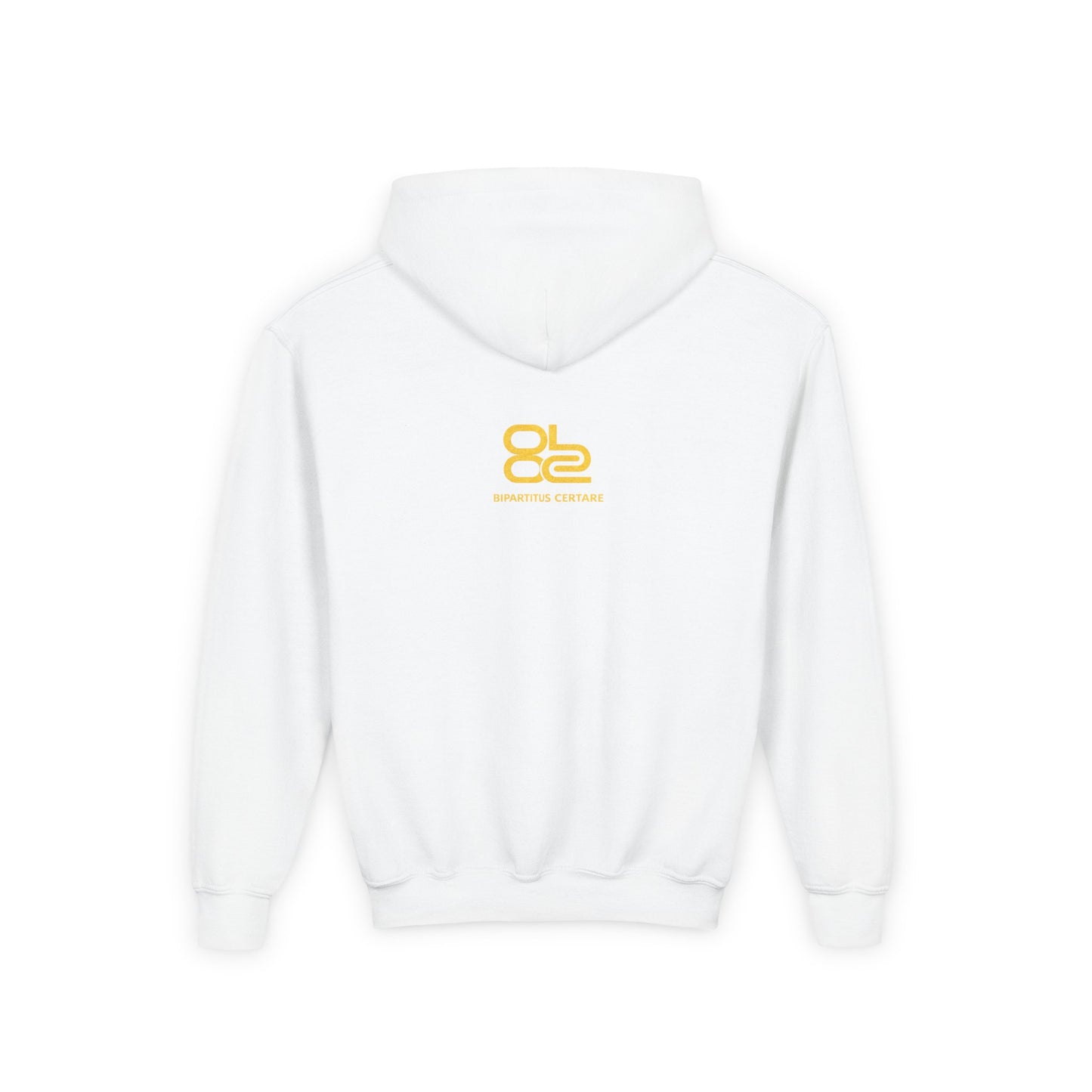 Youth Hoodie — Distressed American Flag Patriotic Sweatshirt