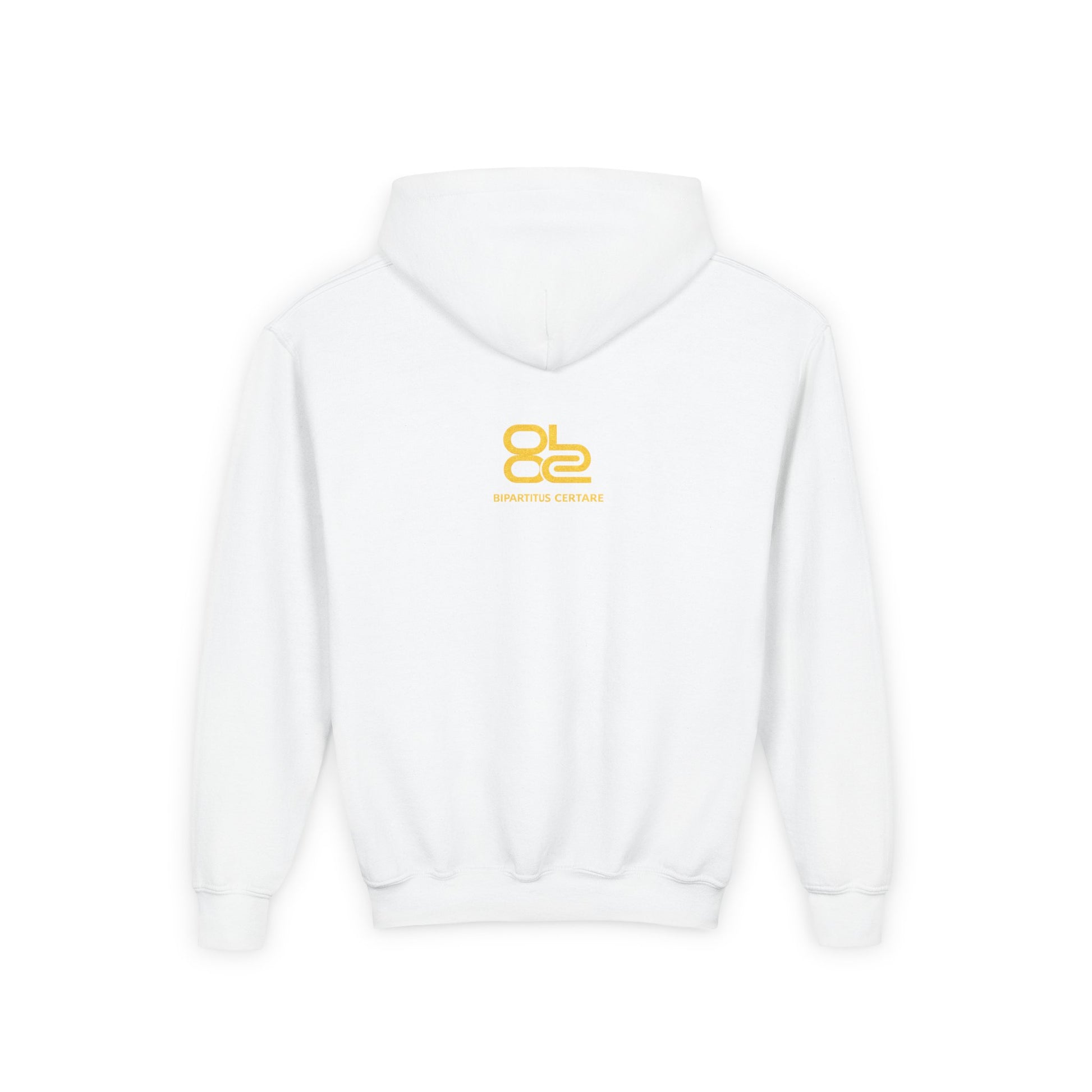 Youth Hoodie — Distressed American Flag Patriotic Sweatshirt